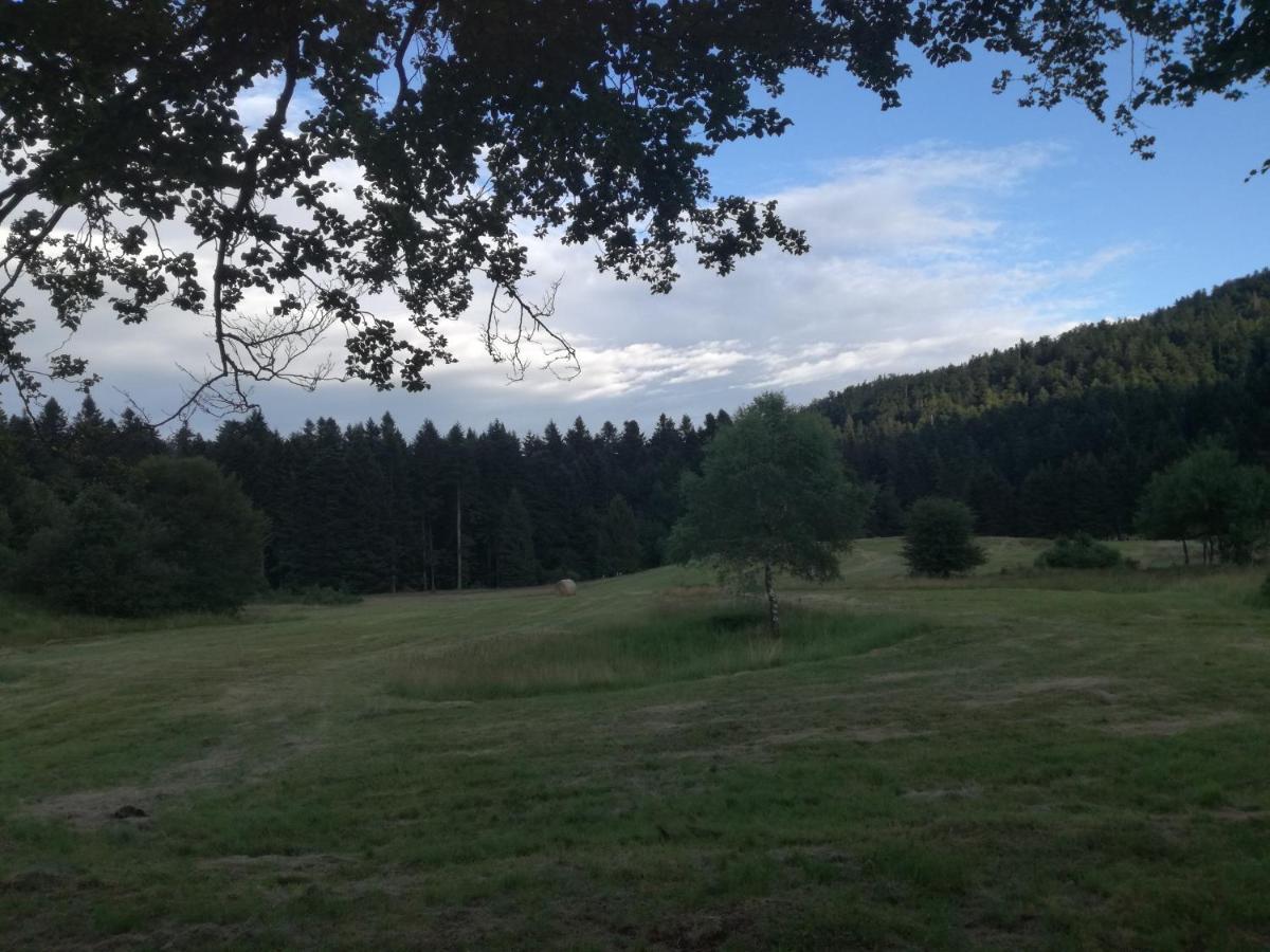Ferienwohnung Kuca Za Odmor "Jasna" Crni Lug Exterior foto
