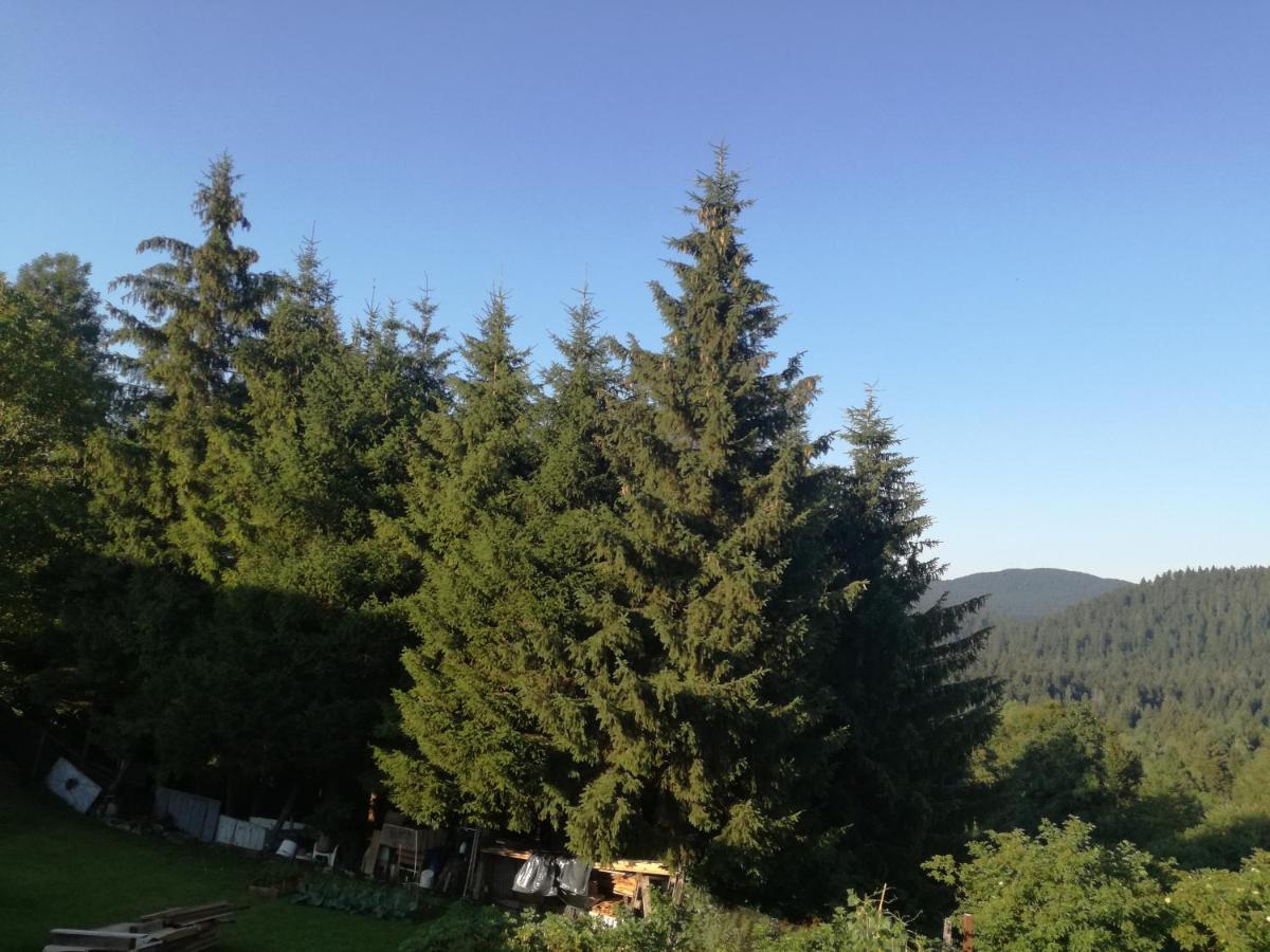 Ferienwohnung Kuca Za Odmor "Jasna" Crni Lug Exterior foto