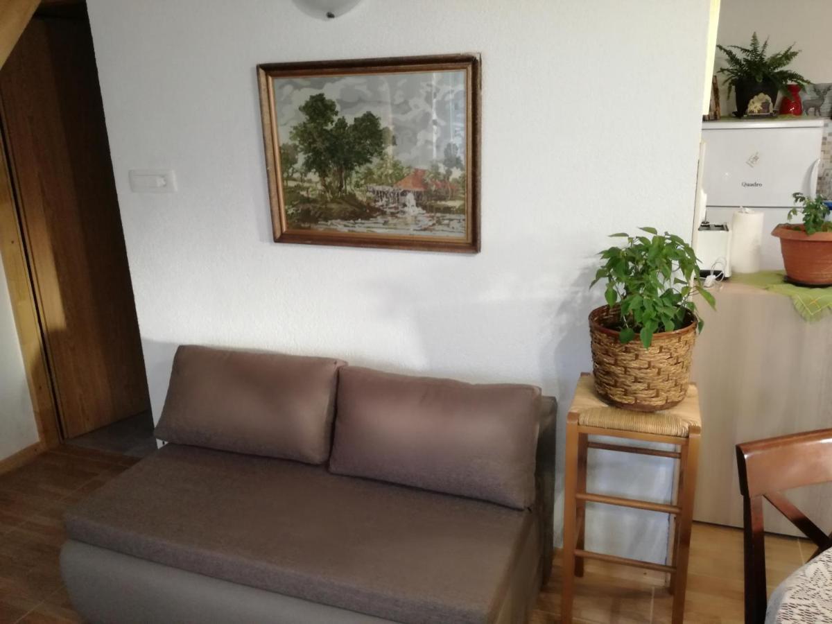 Ferienwohnung Kuca Za Odmor "Jasna" Crni Lug Exterior foto